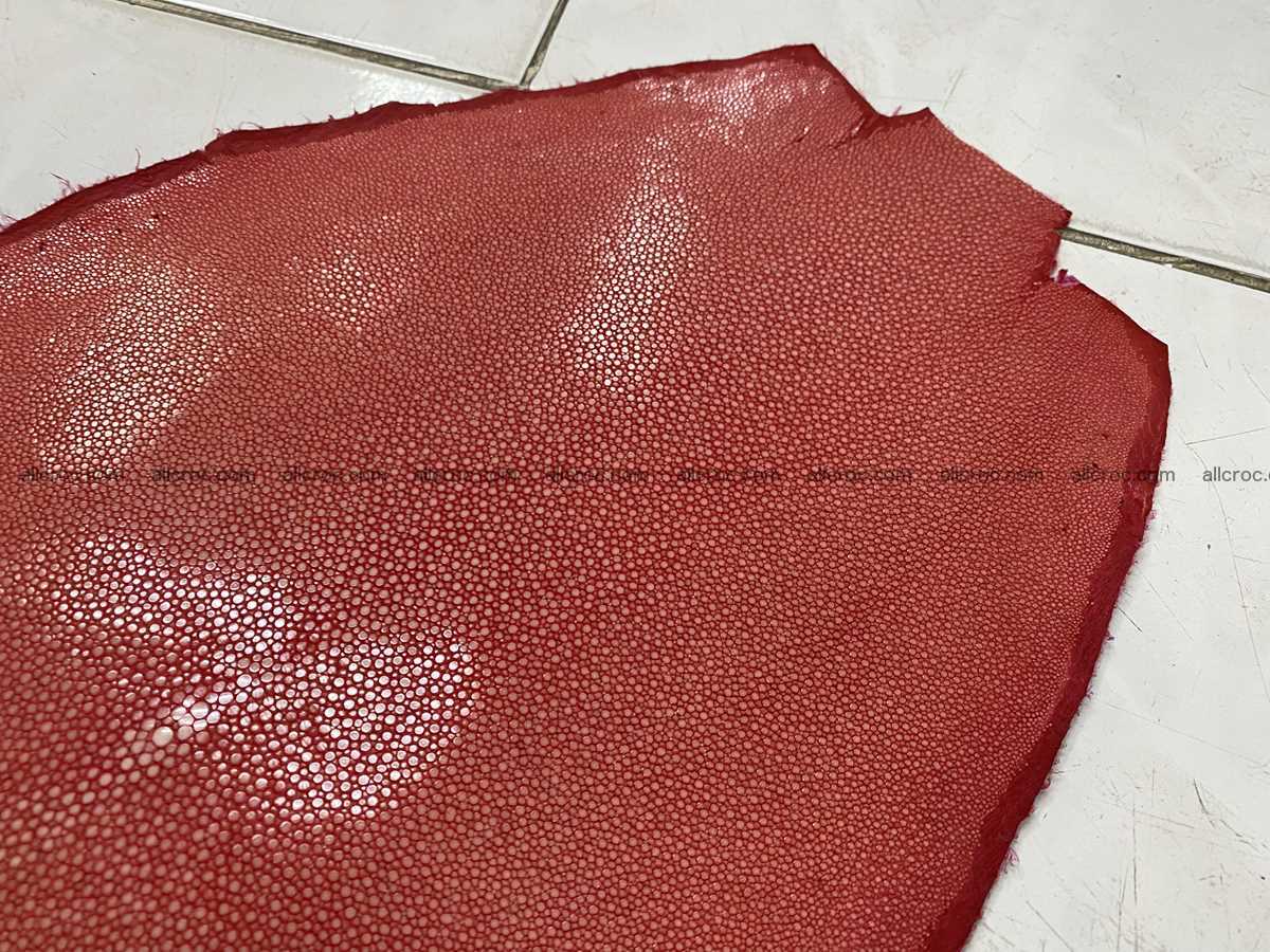 Polished stingray leather 10 inches round shape 2365 Foto 3