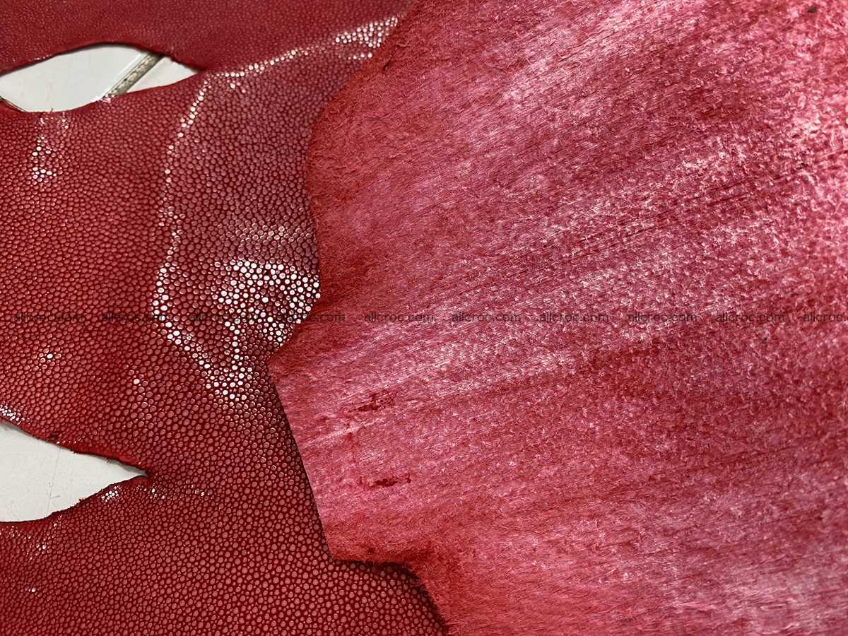 Polished stingray leather 12 inches round shape 2364 Foto 4