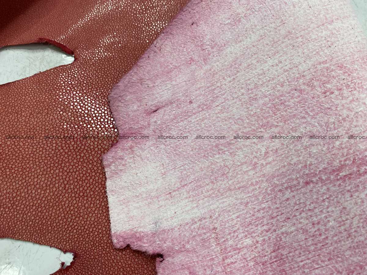 Polished stingray leather 10 inches round shape 2365 Foto 4