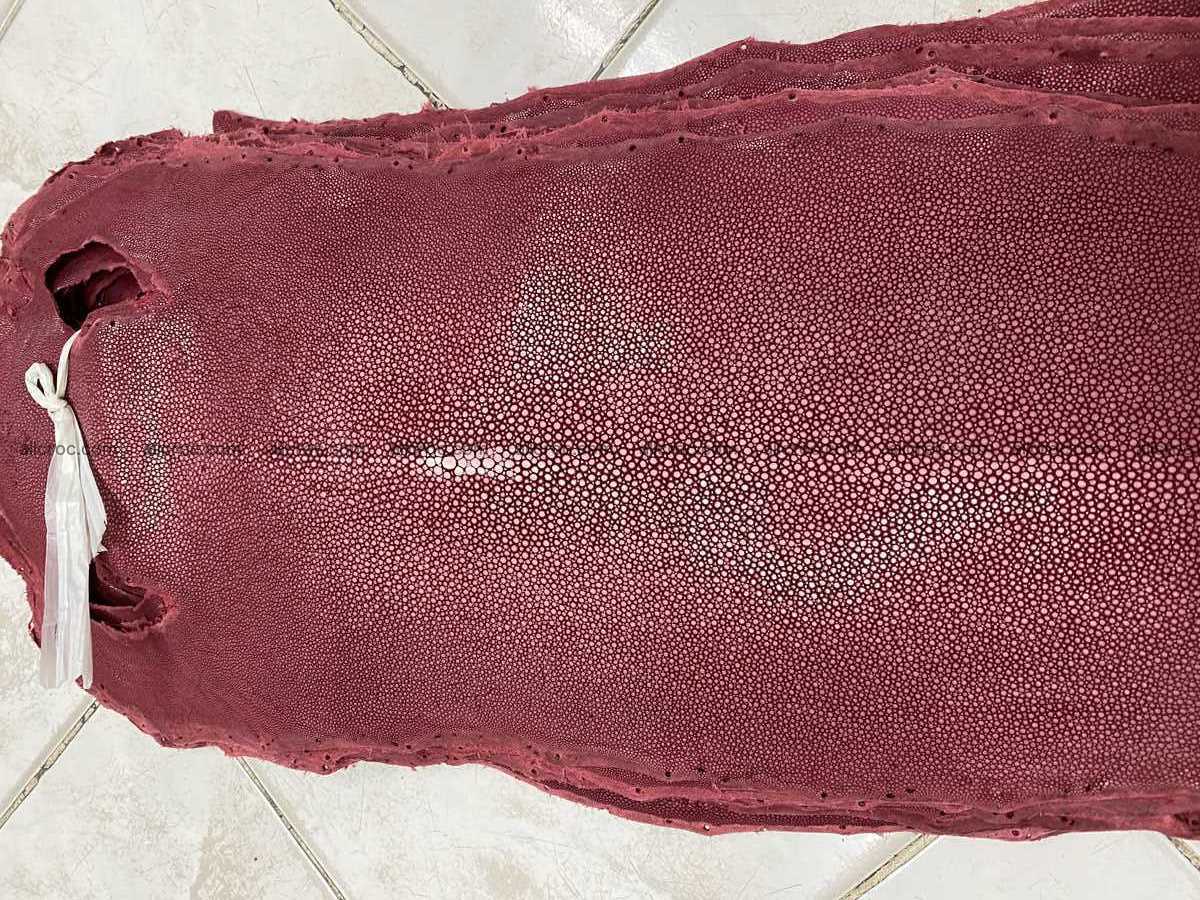 Polished stingray leather 8 inches long shape 2397 Foto 0