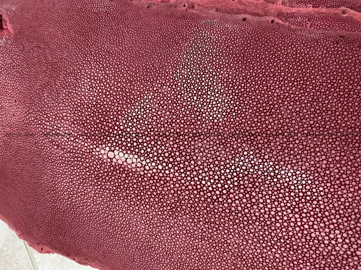 Polished stingray leather 8 inches long shape 2397 Foto 1