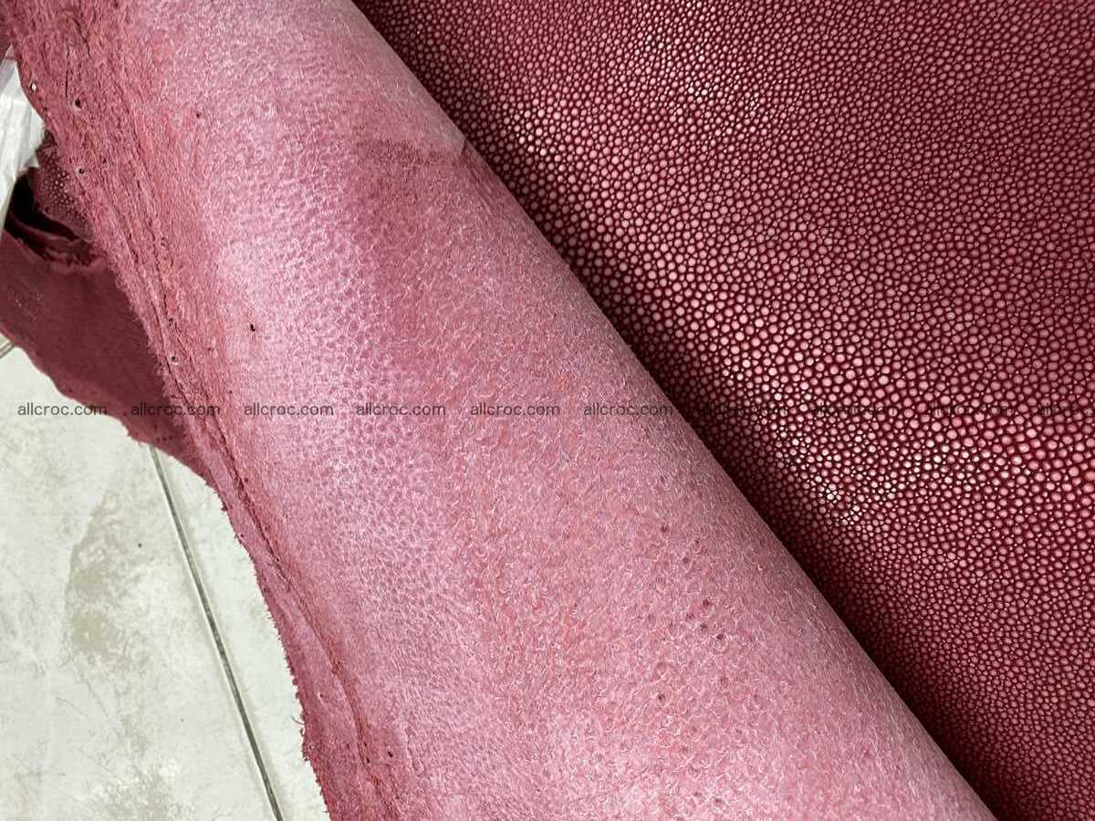 Polished stingray leather 8 inches long shape 2397 Foto 2
