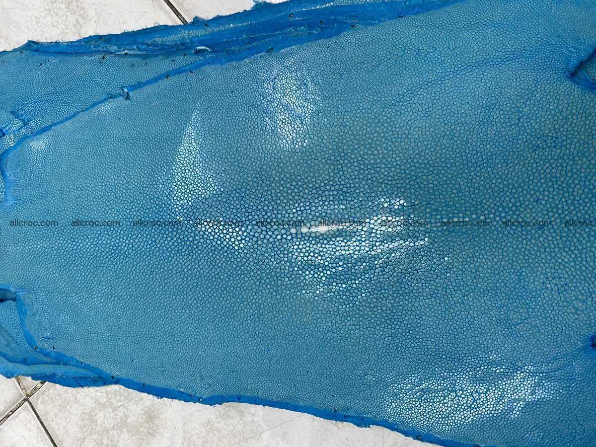Polished stingray leather 7 inches long shape 2396 Foto 0
