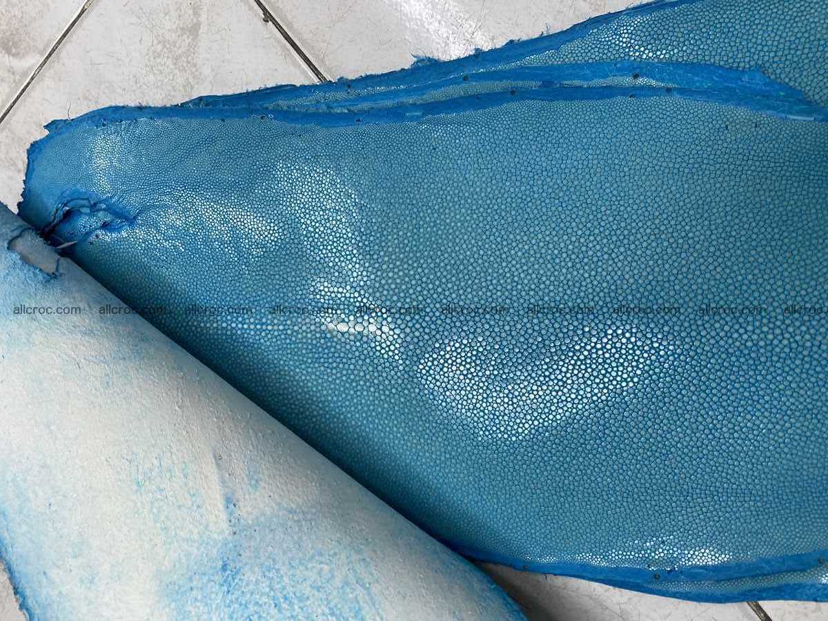 Polished stingray leather 7 inches long shape 2396 Foto 1