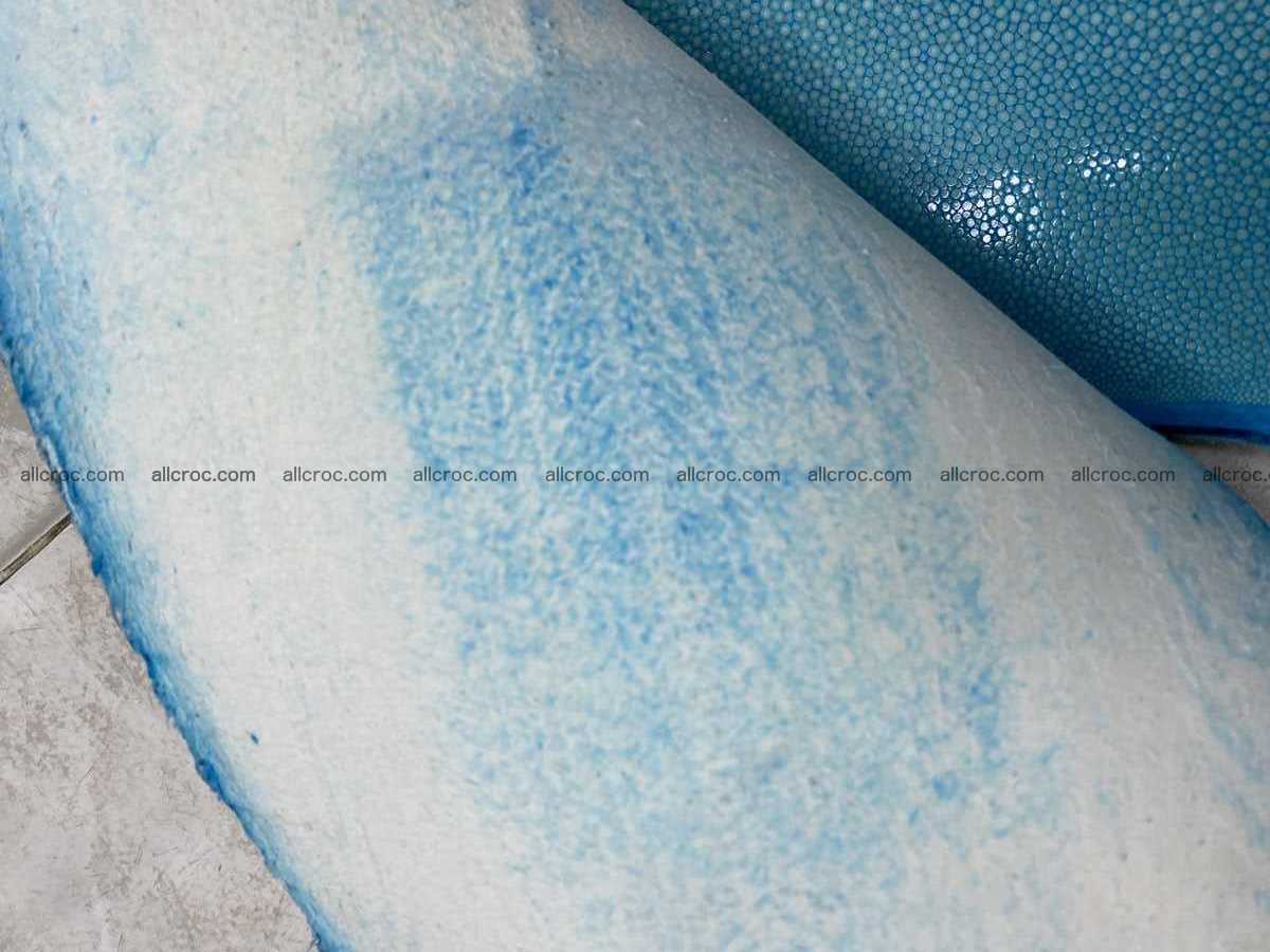 Polished stingray leather 7 inches long shape 2396 Foto 2