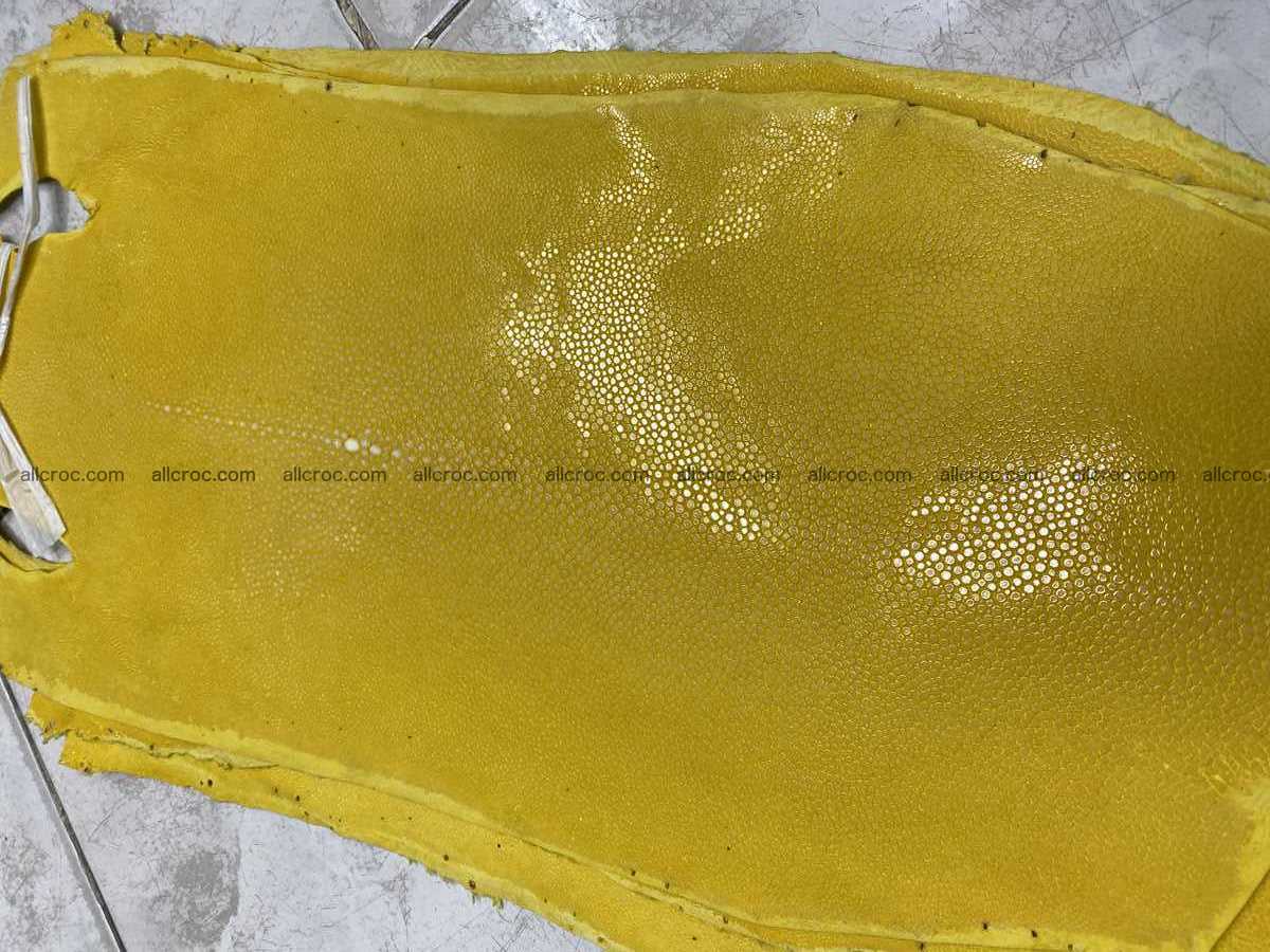 Polished stingray leather 7 inches long shape 2388 Foto 0