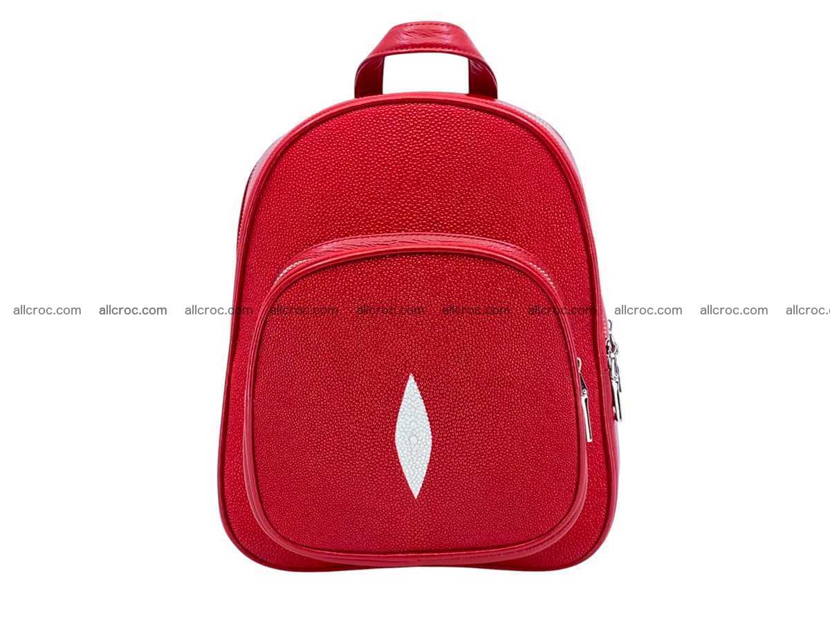 Stingray leather backpack 2513 Foto 0