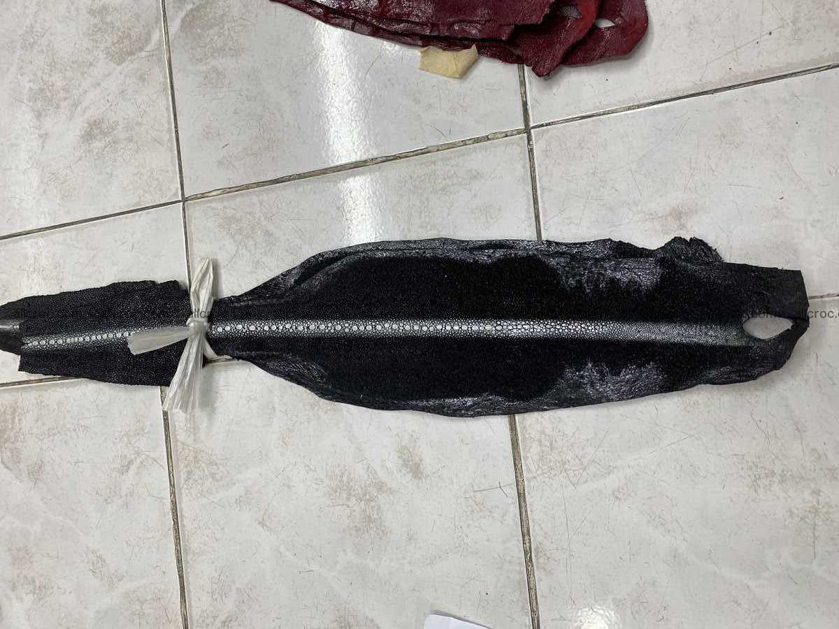 Stingray leather row stone shape 4 inches 2429 Foto 1