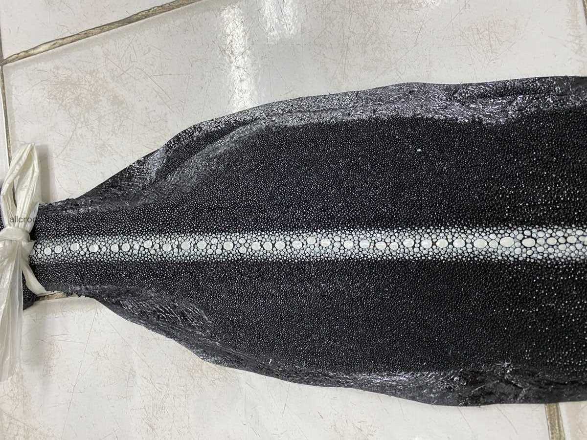 Stingray leather row stone shape 4 inches 2429 Foto 2