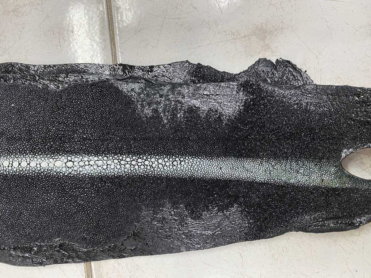 Stingray leather row stone shape 4 inches 2429 Foto 4