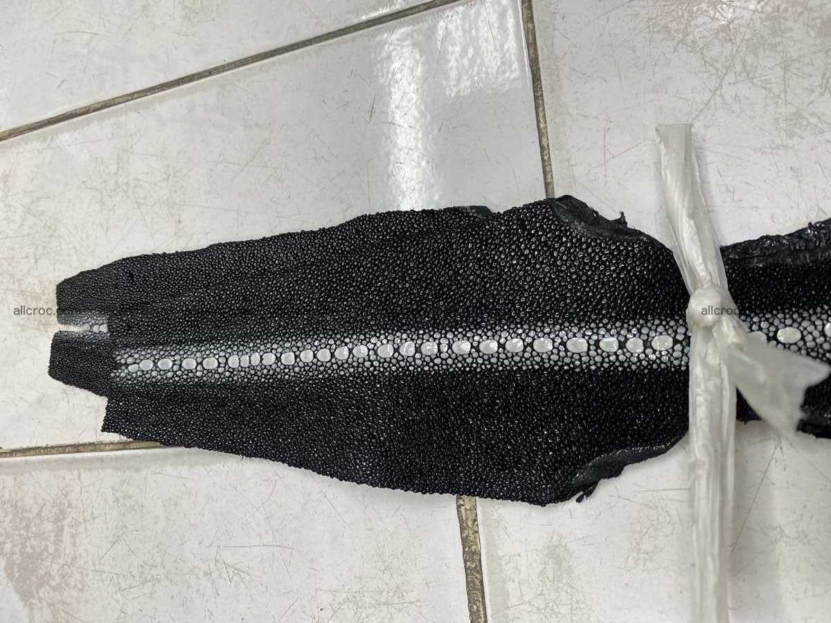 Stingray leather row stone shape 4 inches 2429 Foto 0