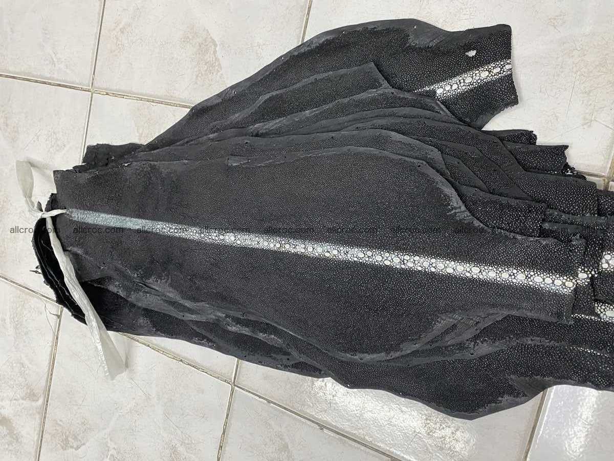 Stingray leather row stone shape 3 inches 2432 Foto 0
