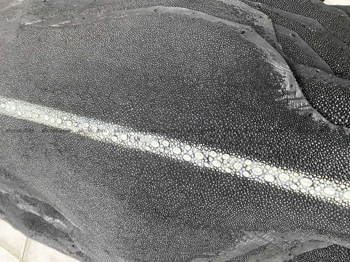Stingray leather row stone shape 3 inches 2432 Foto 2