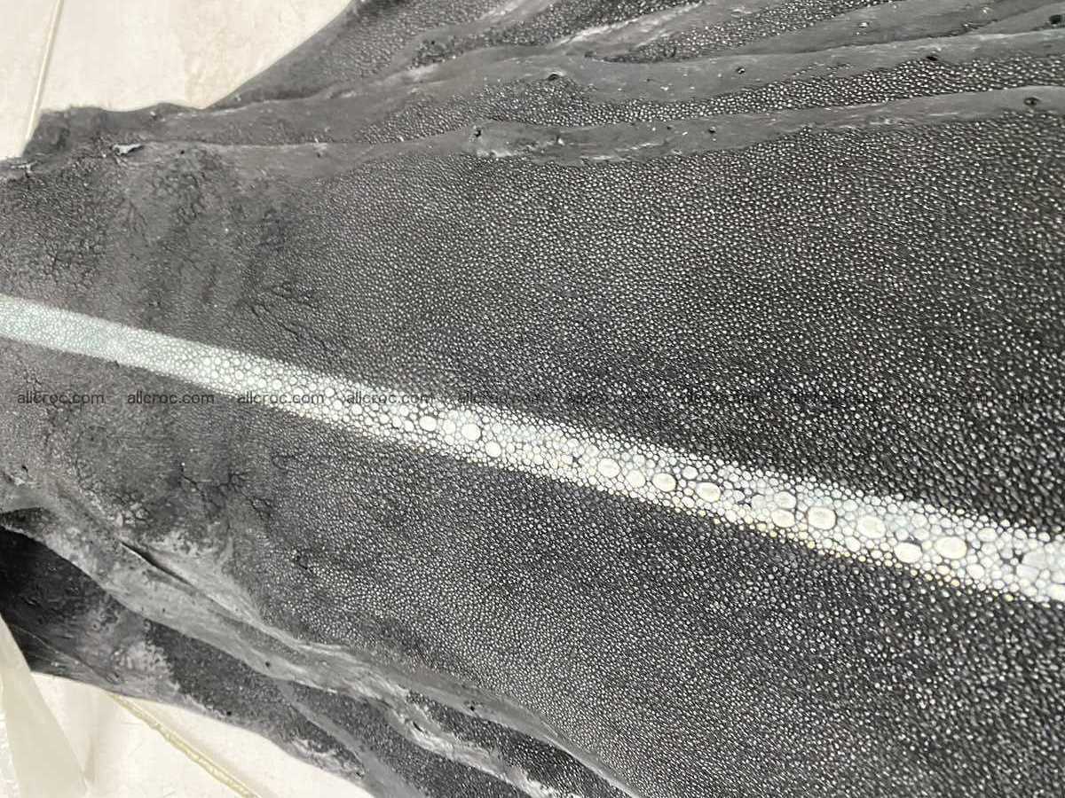 Stingray leather row stone shape 3 inches 2432 Foto 4