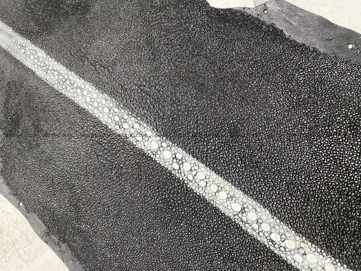 Stingray leather row stone shape 5 inches 2433 Foto 4