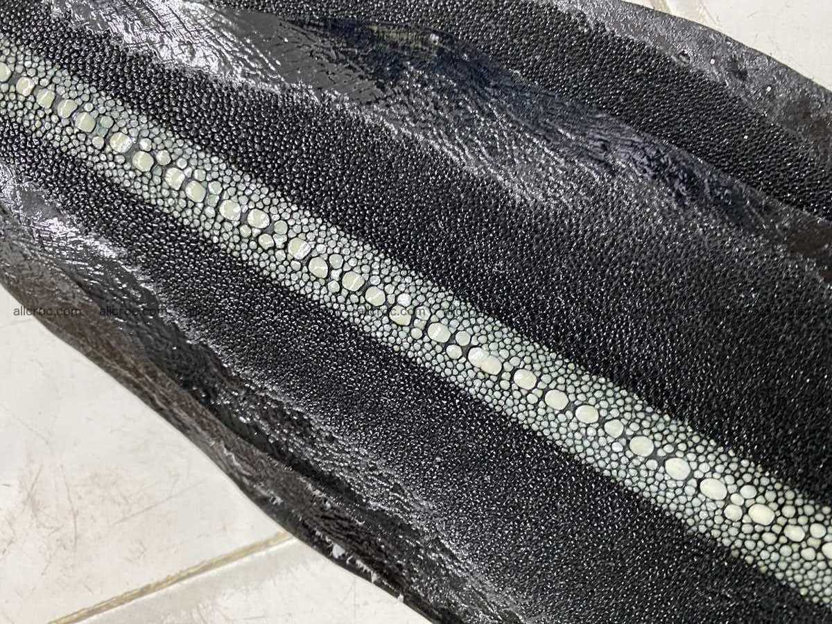 Stingray leather row stone shape 6 inches 2434 Foto 4