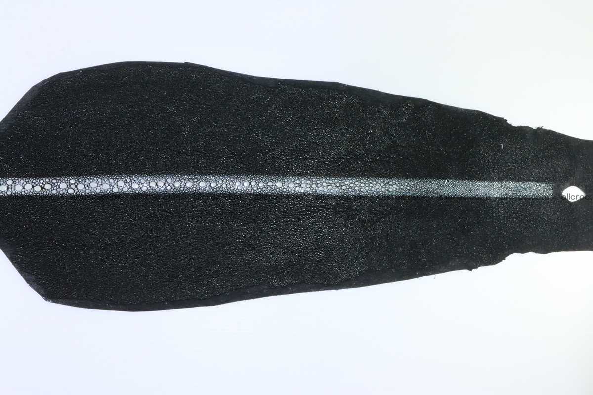Stingray leather row stone shape 7 inches 2435 Foto 4