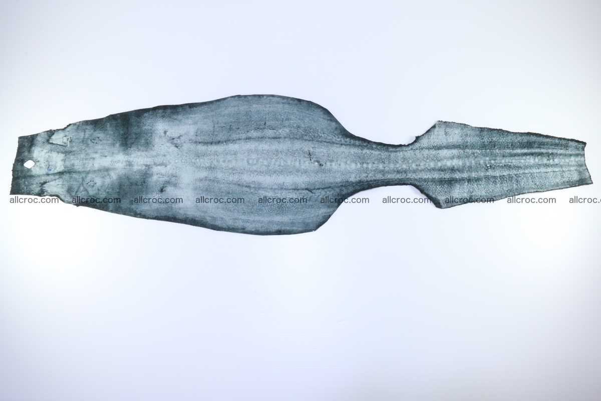 Stingray leather row stone shape 7 inches 2435 Foto 5