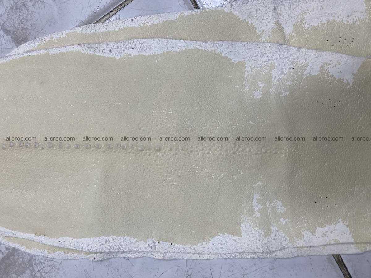 Stingray leather row stone shape 4 inches crust 2428 Foto 2