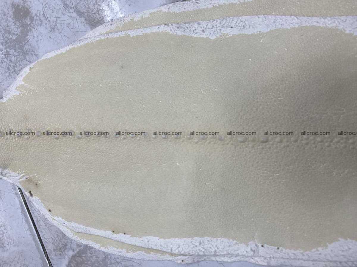 Stingray leather row stone shape 4 inches crust 2428 Foto 3
