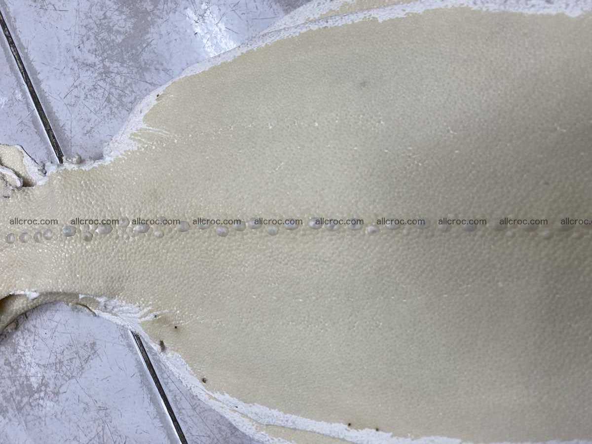 Stingray leather row stone shape 4 inches crust 2428 Foto 4