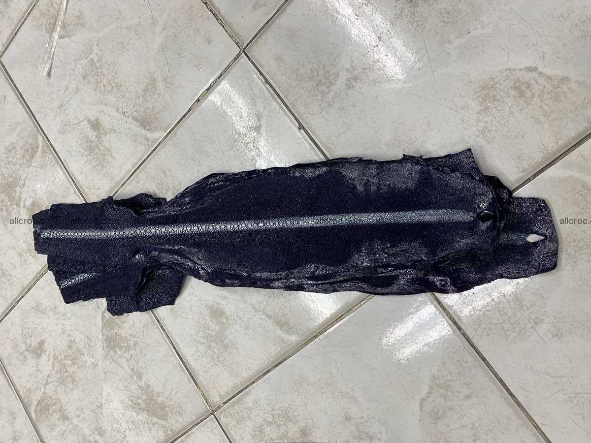 Stingray leather row stone shape 5 inches 2431 Foto 4