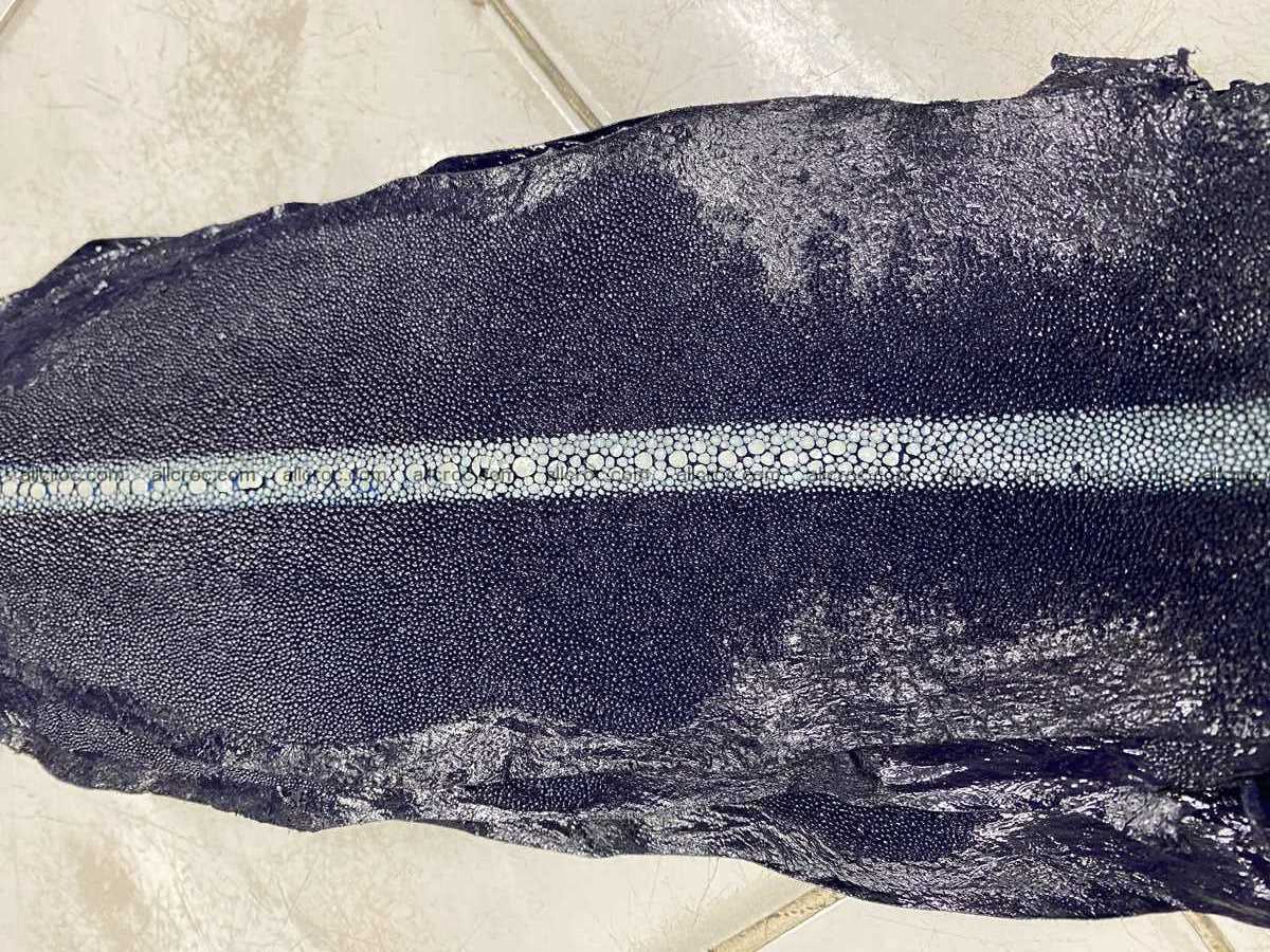Stingray leather row stone shape 5 inches 2431 Foto 5