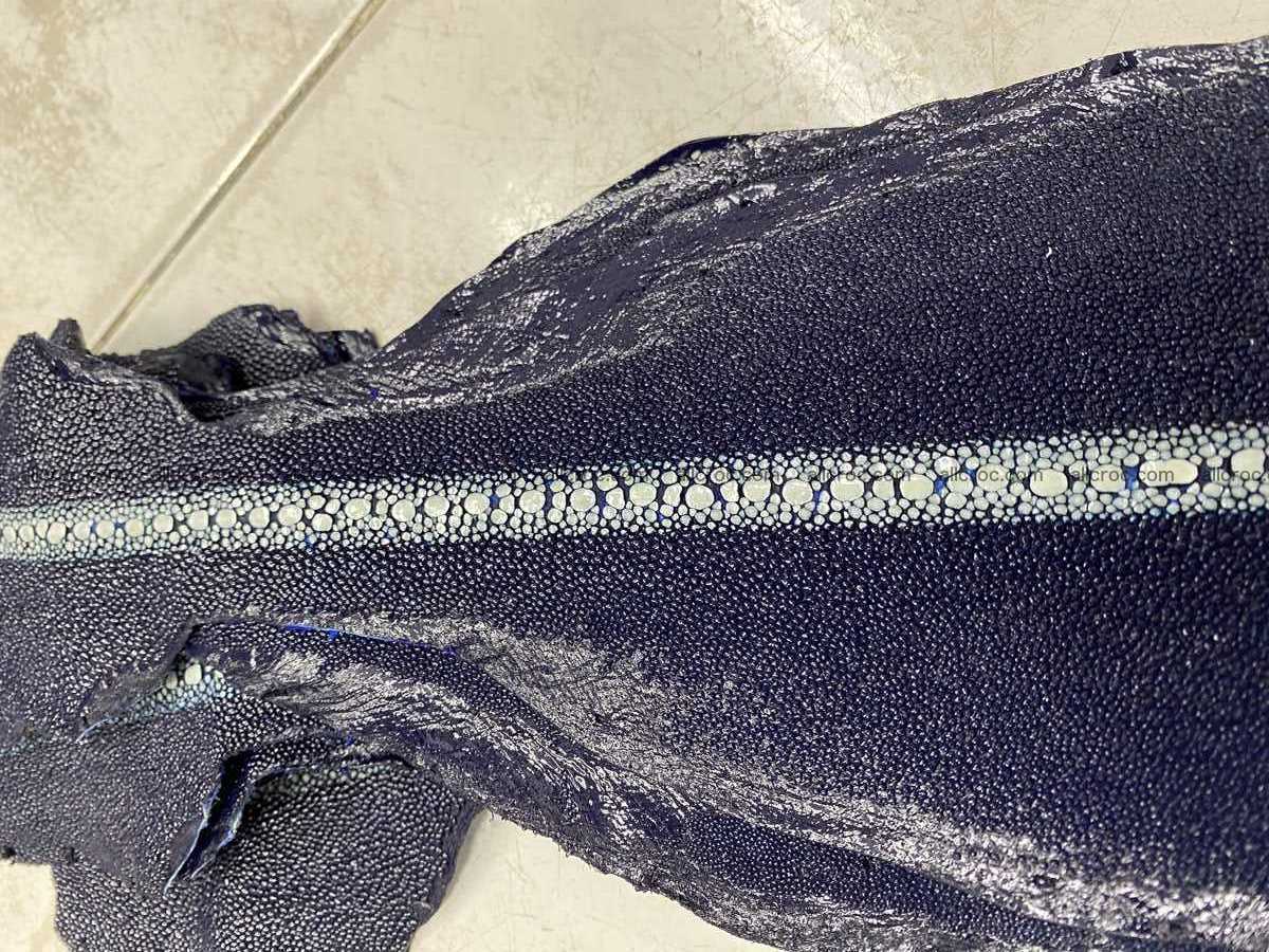 Stingray leather row stone shape 5 inches 2431 Foto 0