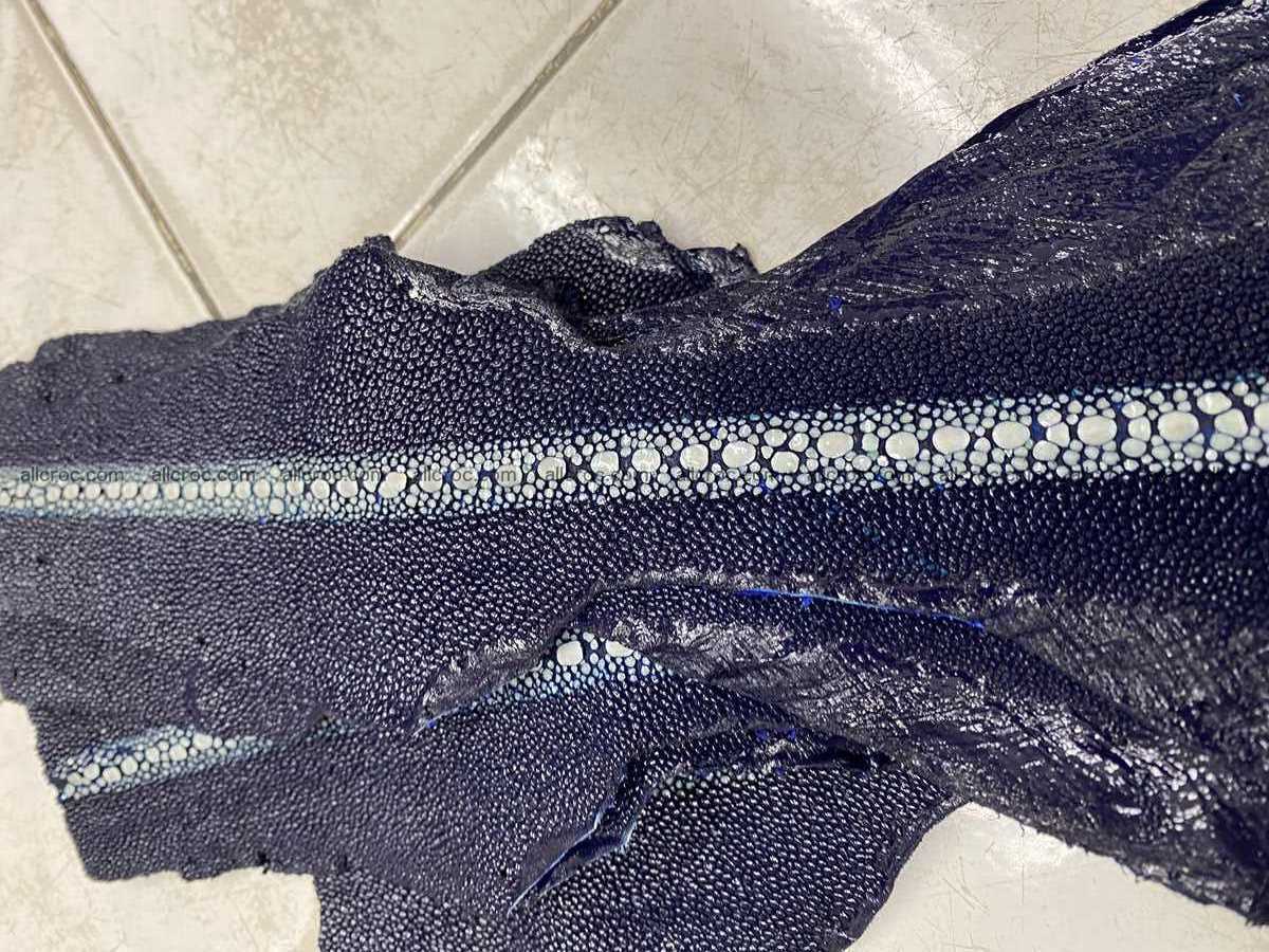 Stingray leather row stone shape 5 inches 2431 Foto 2