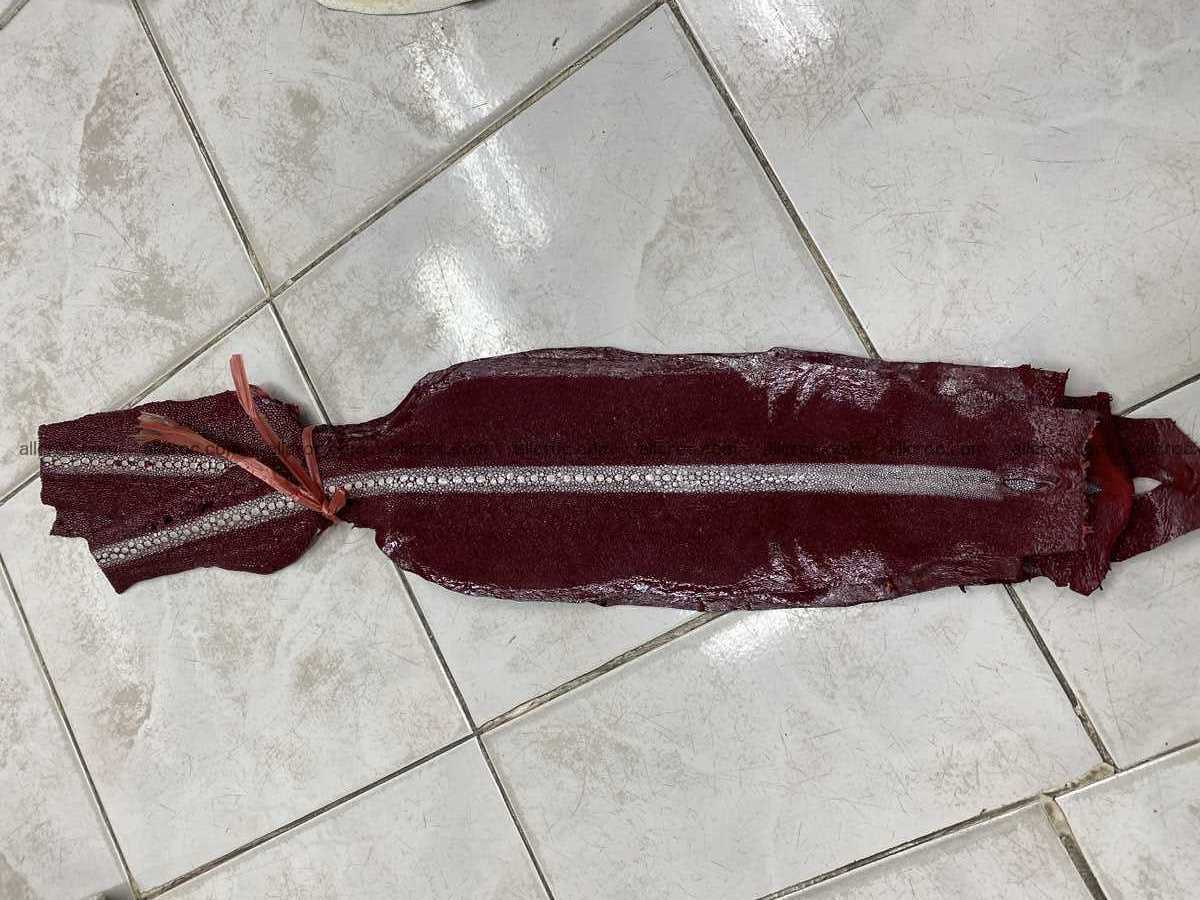 Stingray leather row stone shape 5 inches 2430 Foto 1
