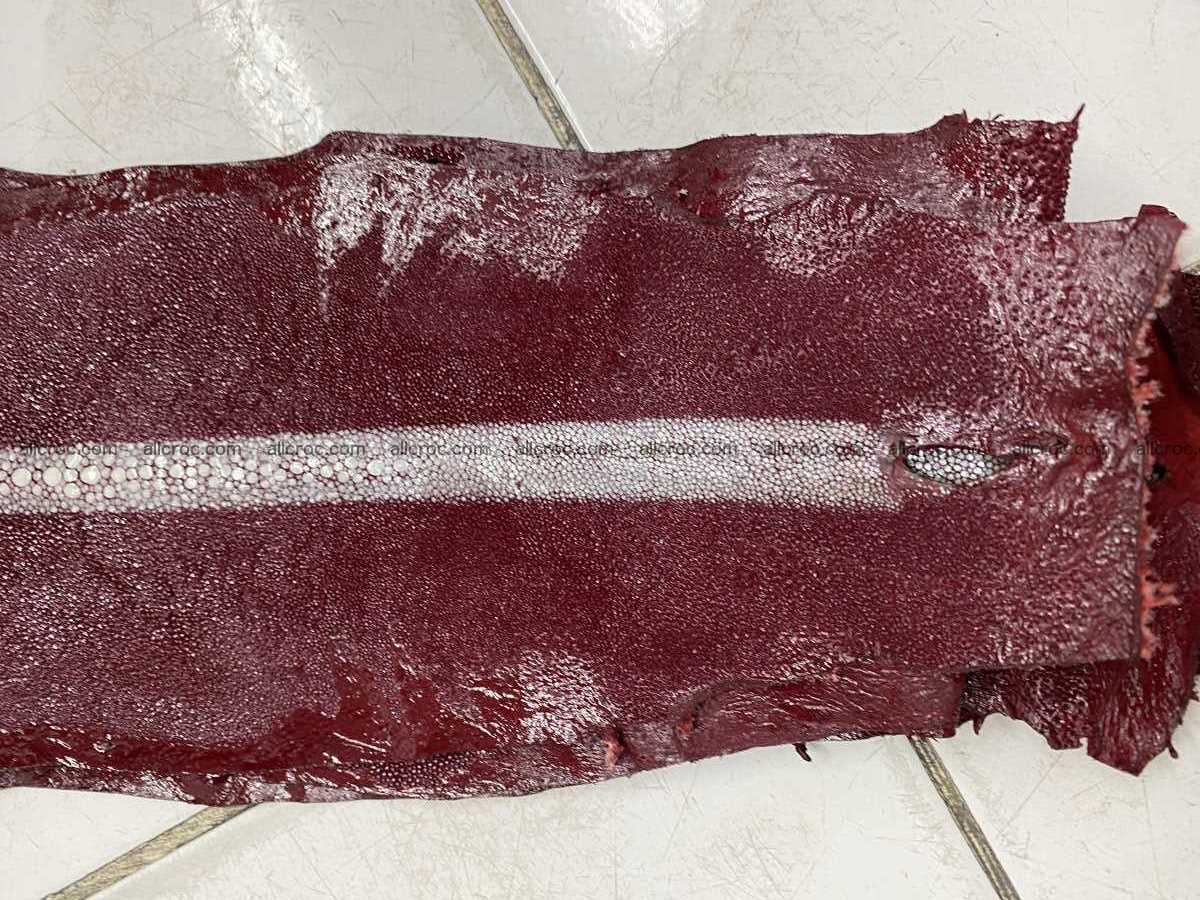 Stingray leather row stone shape 5 inches 2430 Foto 2