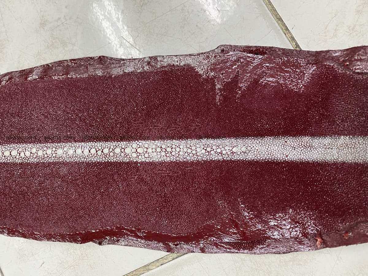 Stingray leather row stone shape 5 inches 2430 Foto 3