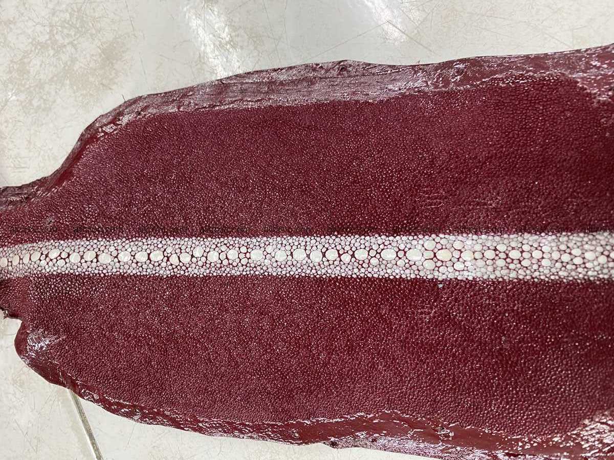 Stingray leather row stone shape 5 inches 2430 Foto 0