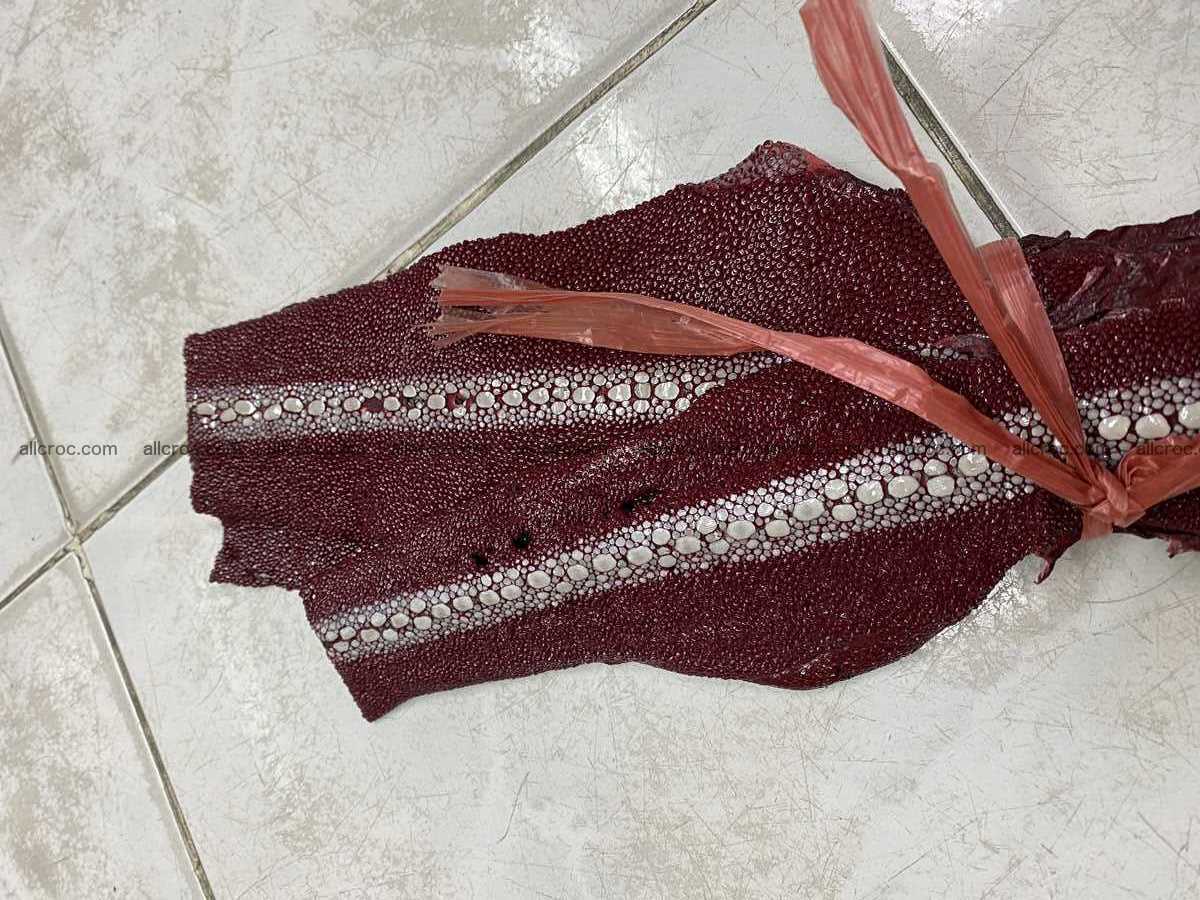 Stingray leather row stone shape 5 inches 2430 Foto 5