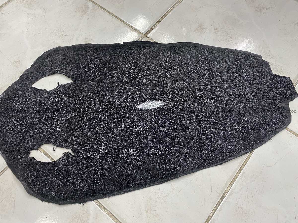 Stingray skin 18 inches round shape 2330 Foto 0