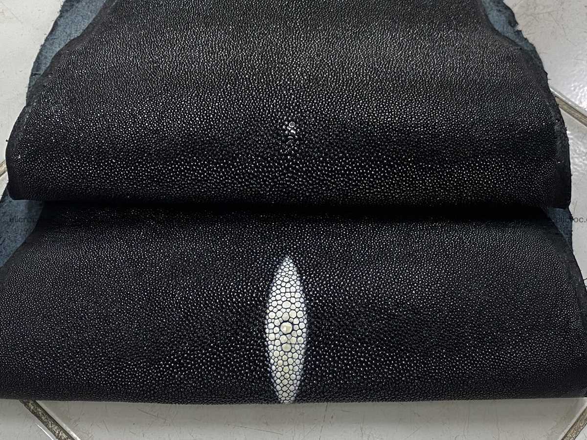 Stingray skin 11 inches round shape 2319 Foto 3