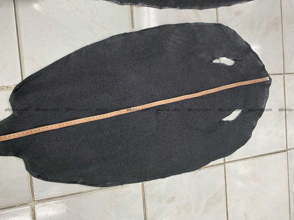 Stingray skin 19 inches round shape 2332 Foto 2