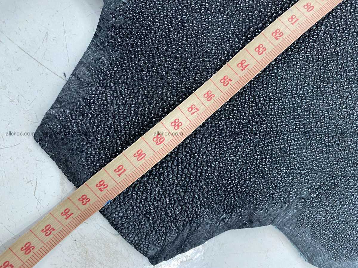 Stingray skin 18 inches round shape 2331 Foto 4
