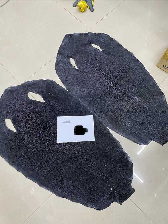 Stingray skin 19 inches round shape 2332 Foto 7