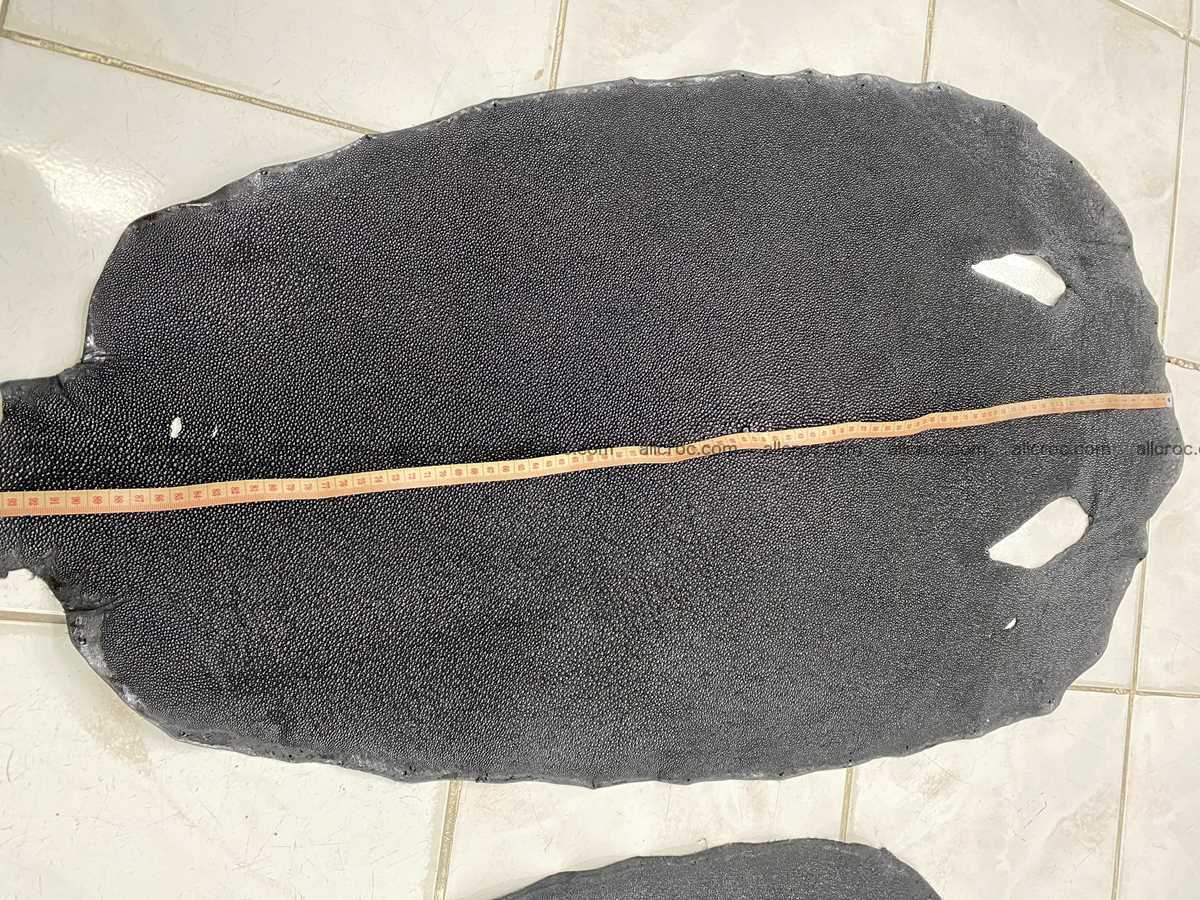 Stingray skin 18 inches round shape 2331 Foto 3