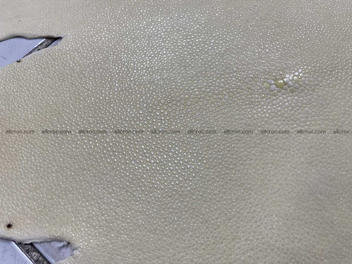 Stingray skin 9 inches round shape crust 2312 Foto 1