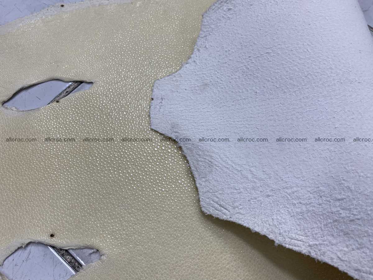 Stingray skin 9 inches round shape crust 2312 Foto 3