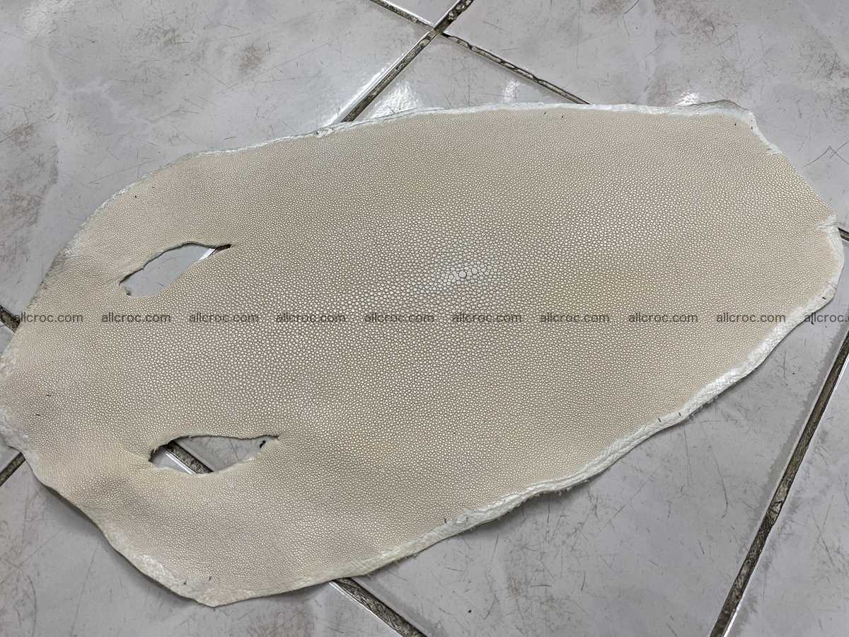 Stingray skin 11 inches round shape crust 2310 Foto 0