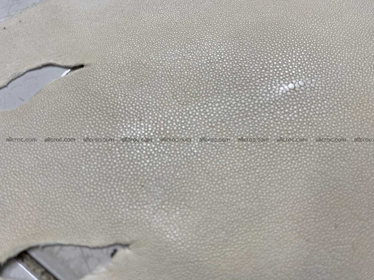 Stingray skin 11 inches round shape crust 2310 Foto 1