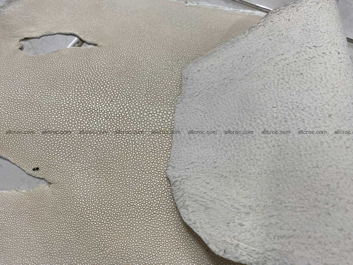 Stingray skin 11 inches round shape crust 2310 Foto 4
