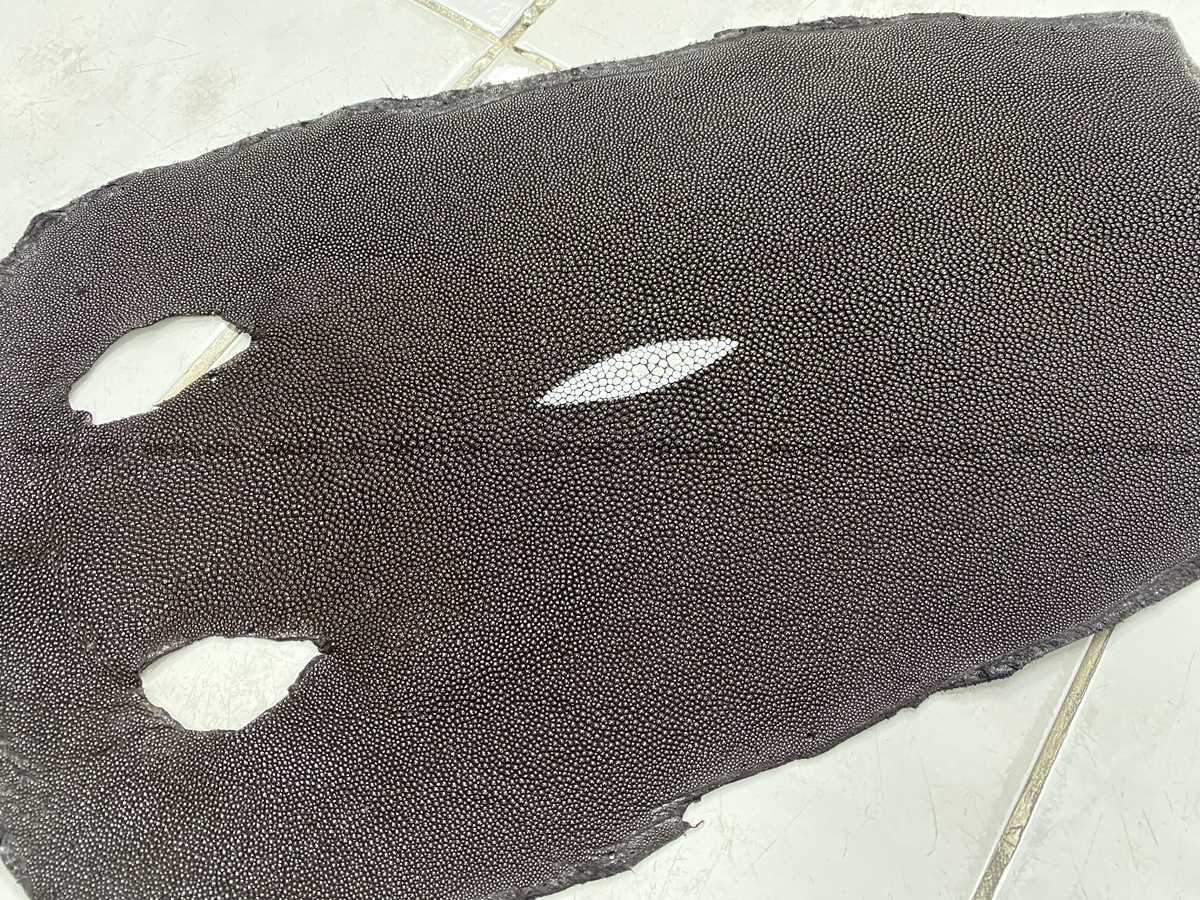 Stingray skin 10 inches round shape 2325 Foto 0