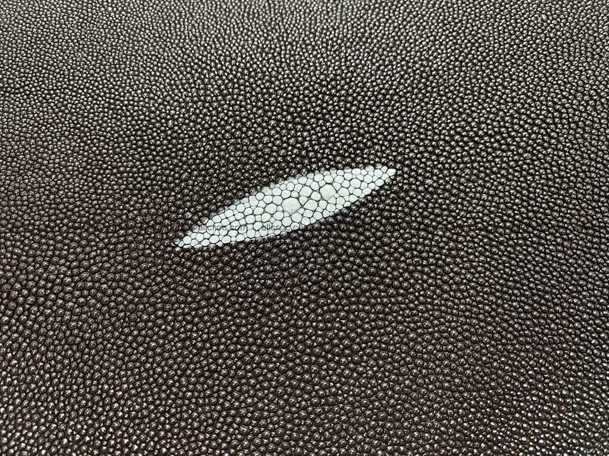 Stingray skin 10 inches round shape 2325 Foto 1