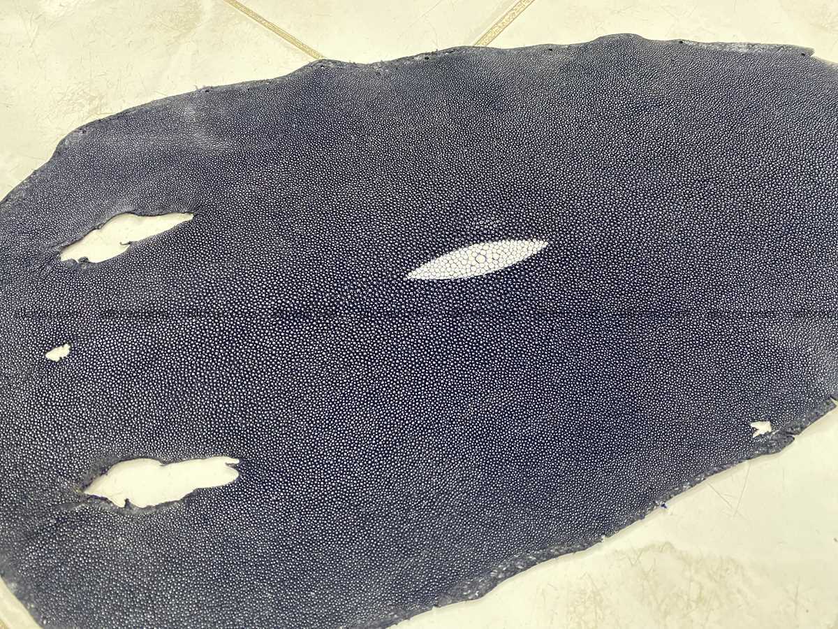 Stingray skin 9 inches round shape 2328 Foto 0