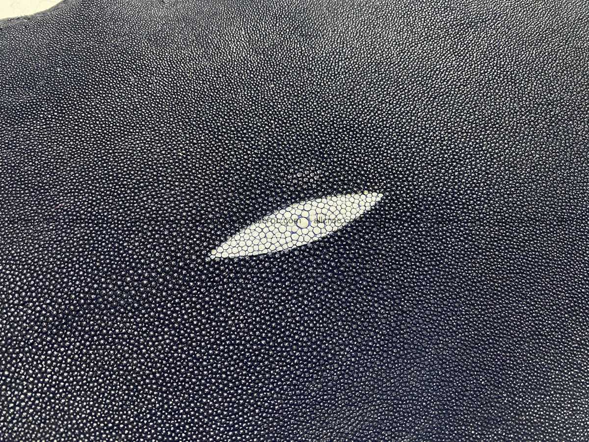 Stingray skin 9 inches round shape 2328 Foto 1