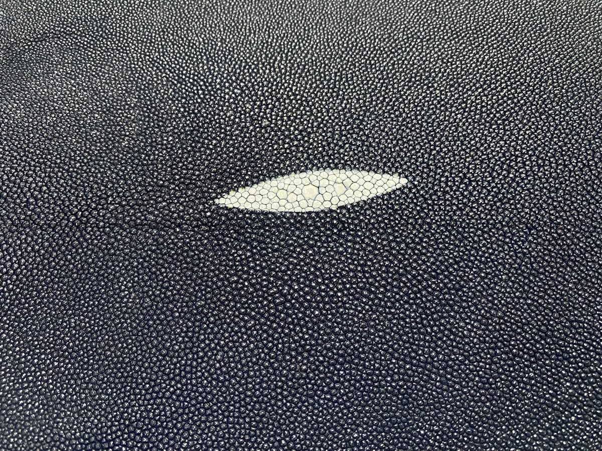 Stingray skin 11 inches round shape 2327 Foto 1
